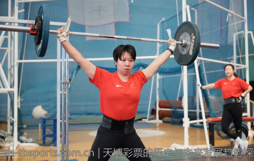 天博彩票的历史与未来发展趋势探讨