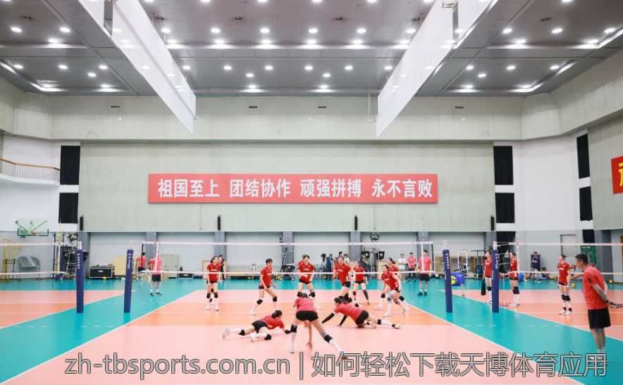 如何轻松下载天博体育应用